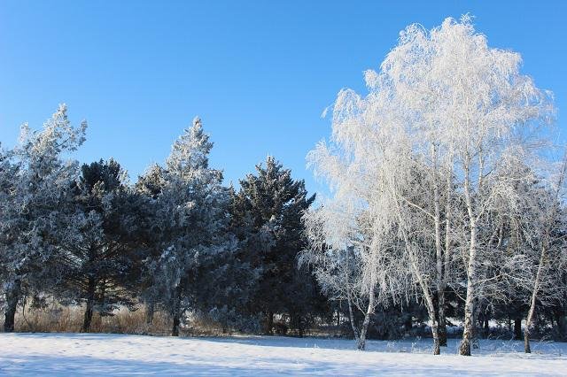 Станица во всей красе